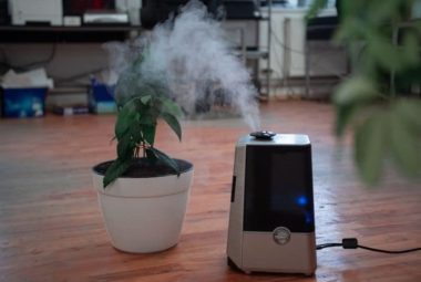 Top Rated Smart Air Purifiers for 2022